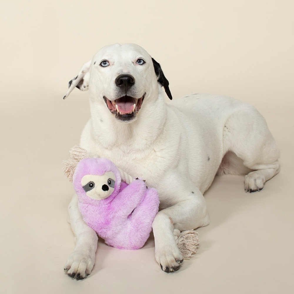 Fringe Interactive Sloth Rope Dog Toy